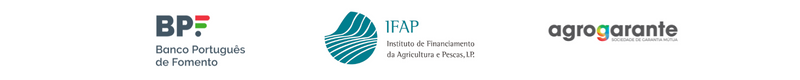 BPF - Linha Tesouraria
